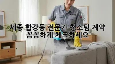 세종 합강동 전문가 청소팀 계약, 꼼꼼하게 체크하세요!