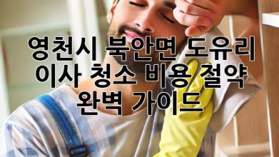 영천시 북안면 도유리 이사 청소 비용 절약 완벽 가이드