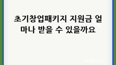 초기창업패키지 활용법: 성공 창업 스토리